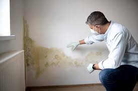 Best Real Estate Mold Inspection  in Colfax, WI